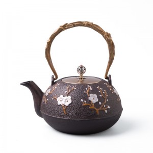 Cast iron enamel teapot with SS strainer