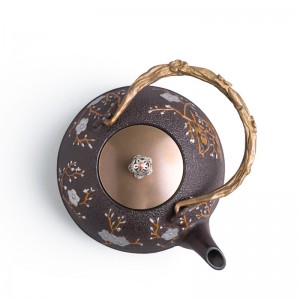 Cast iron enamel teapot with SS strainer