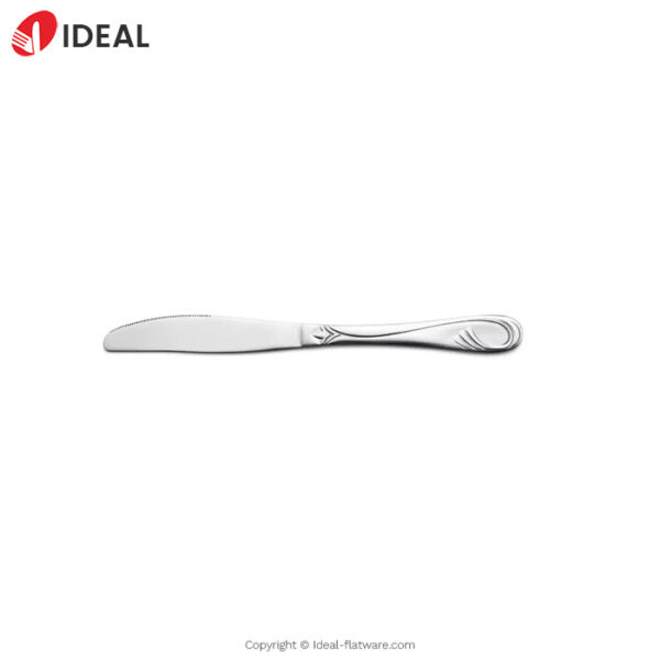 Stainless steel knife