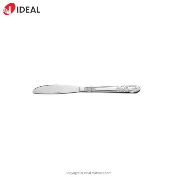 Stainless steel knife