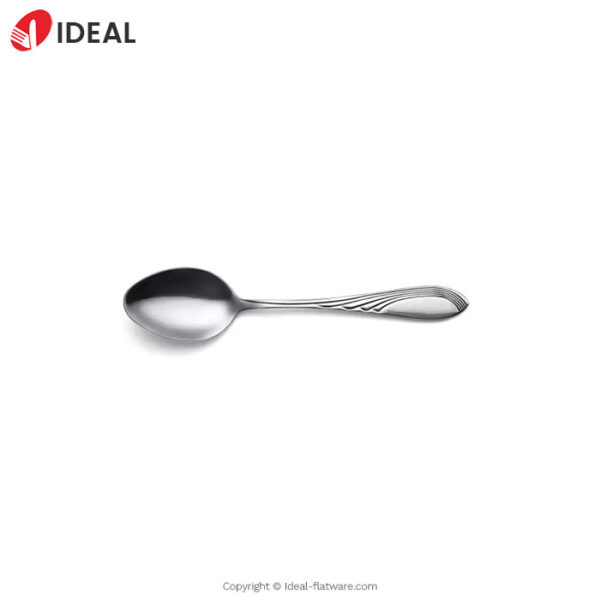 Stainless steel spoon