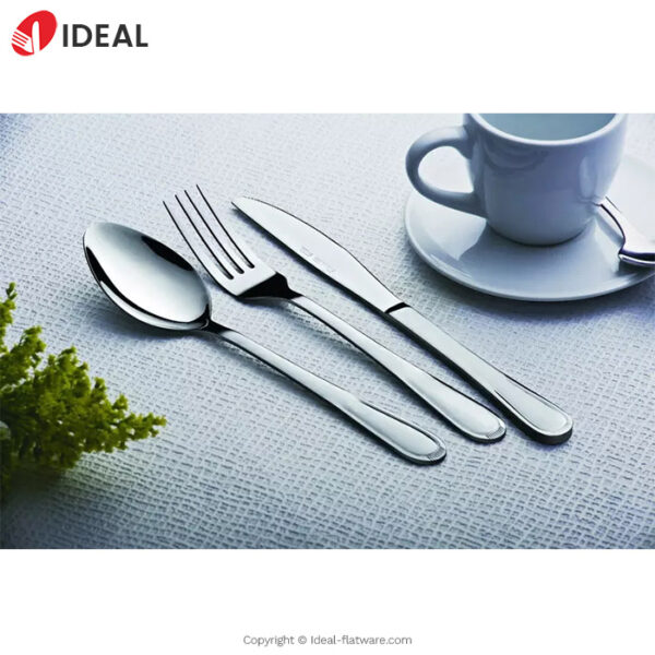 Stainless steel flatware