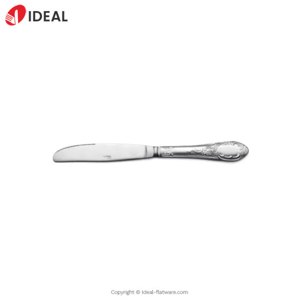 Stainless steel knife