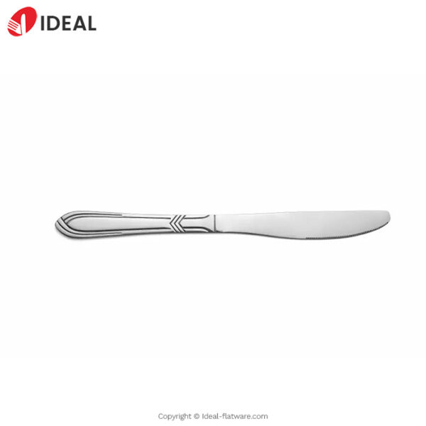 Stainless steel knife