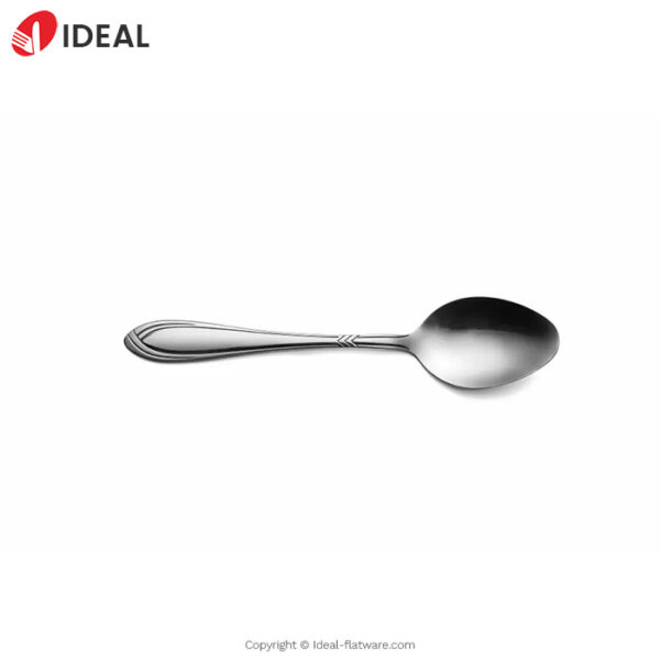 Stainless steel spoon