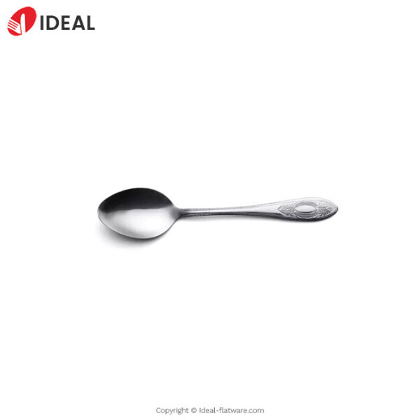 Stainless steel spoon