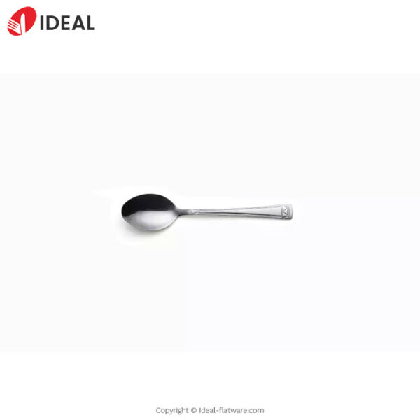 Stainless steel spoon