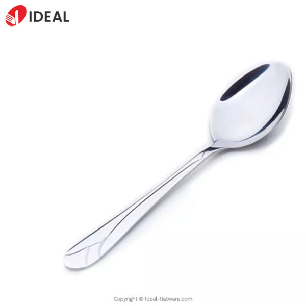 Stainless steel spoon