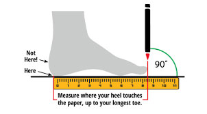 foot measurements