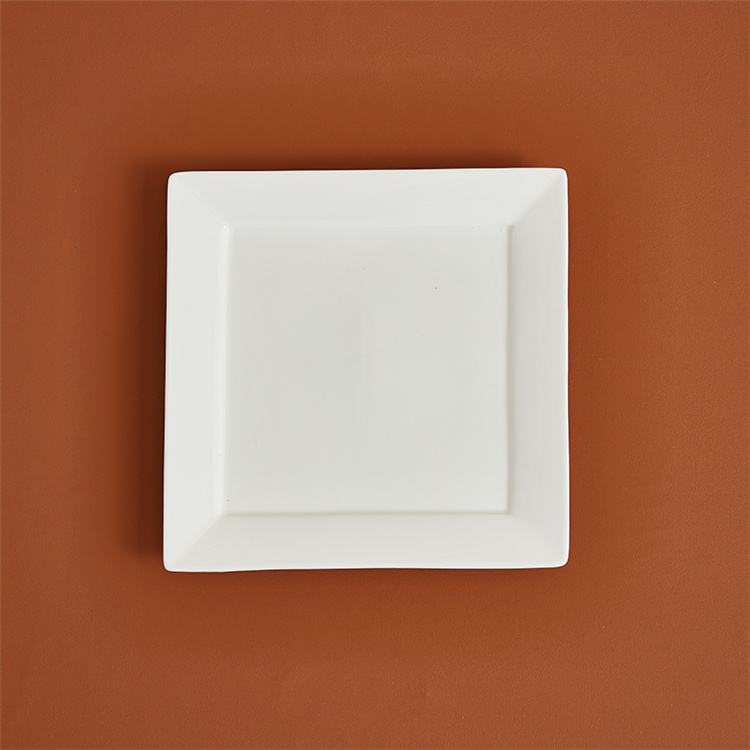 Square Bone China Dinner Plates