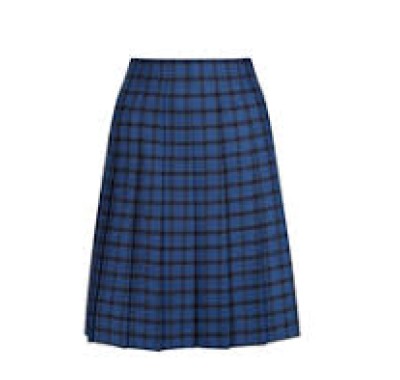 Recycled Blue Checked Skirt Supplier